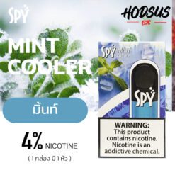 SPY Infinity Mint Cooler